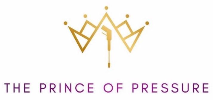 242380619_253533346555607_9066313110953790679_n copy